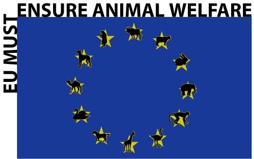 Στην Ευρωπαϊκή Επιτροπή στρέφεται η Π.Φ.Π.Ο. για τις κακοποιήσεις ζώων στην Ελλάδα.The Panhellenic Animal Welfare and Environment Federation addressed to the European Commission for the abuse of animals in Greece.