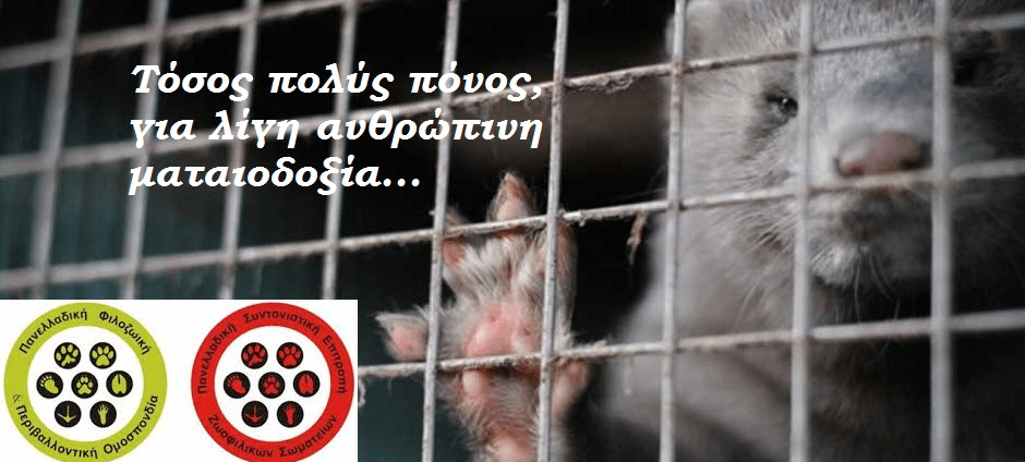 Δ.Τ. : ΠΦΠΟ προς πολιτικά κόμματα: «είστε διατεθειμένοι να απαγορεύσετε την εκτροφή γουνοφόρων ζώων στην Ελλάδα;»