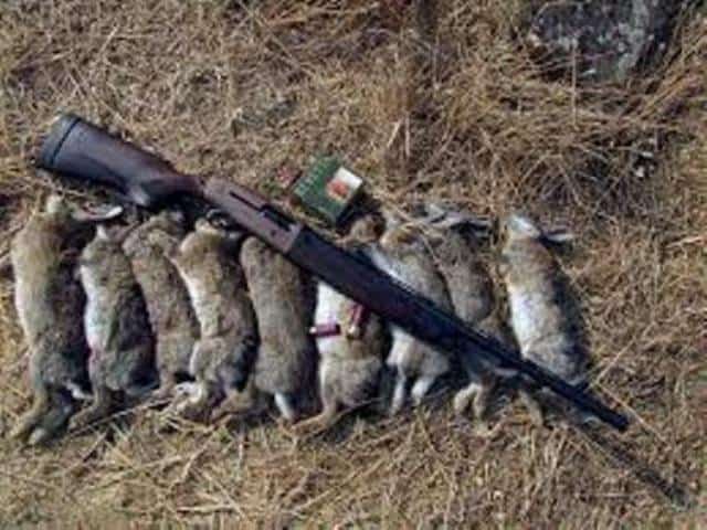 Υπουργική απόφαση παρωδία για το κυνήγι/Ministerial decision-parody about hunting