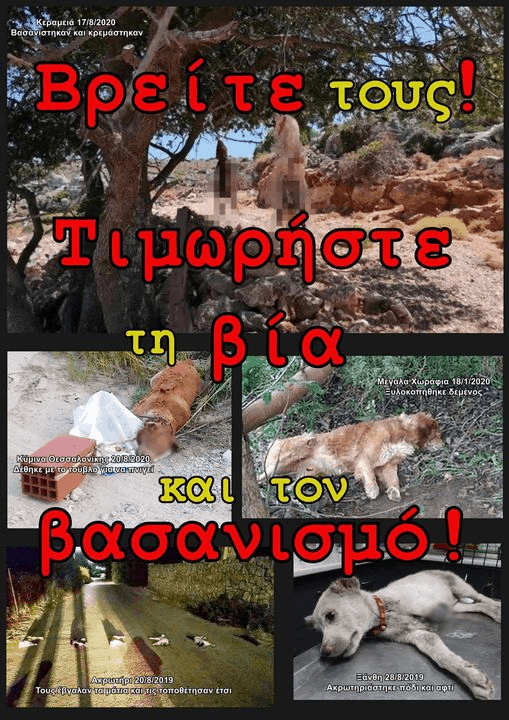 Find Them! Punish violence and brutality to animals! Saturday, August 29,11:00 at the port of Souda