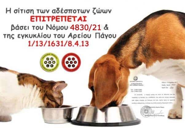 A letter was sent by the PFPO, demanding the feeding of strays in schools and surroundings.