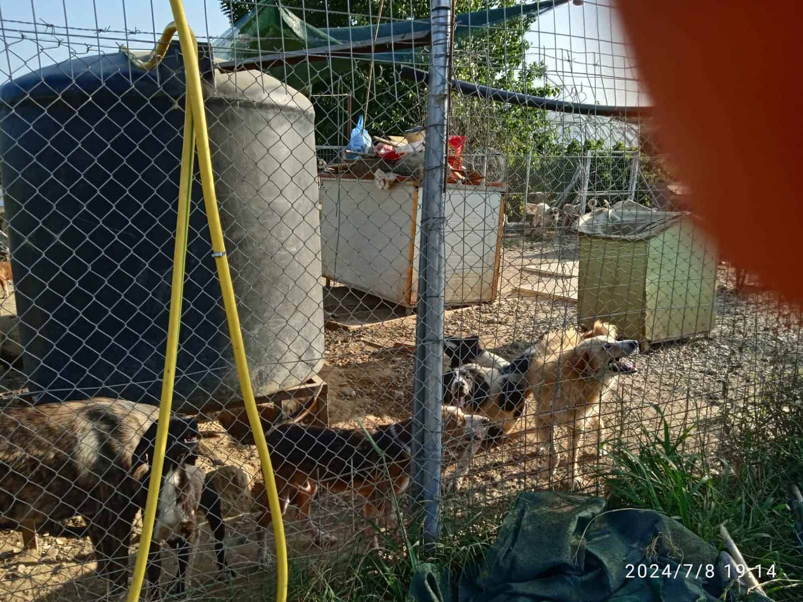 Αίτημα της Π.Φ.Π.Ο για γνωμάτευση της Κτηνιατρικής Υπηρεσίας Αγρινίου που αφορά σε χώρο εγκλεισμού αδέσποτων ζώων