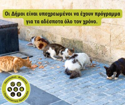 Οι Δήμοι είναι υποχρεωμένοι να έχουν πρόγραμμα για τα αδέσποτα όλο τον χρόνο.