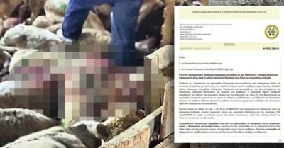 Η ΣΙΩΠΗ της εξουσίας απέναντι στη φρίκη βασανισμών ζώων!