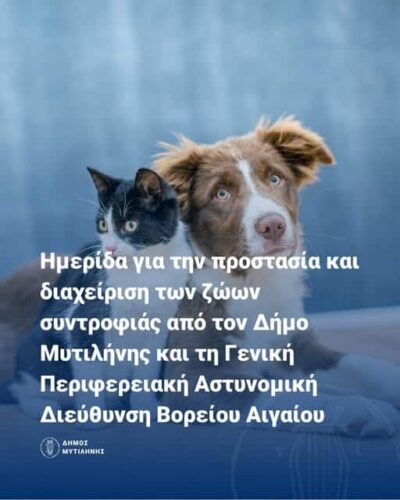 Ημερίδα για την προστασία και διαχείριση των ζώων συντροφιάς από το Δήμο Μυτιλήνης και τη Γενική Περιφερειακή Αστυνομική Διεύθυνση Βορείου Αιγαίου