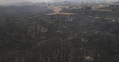 Η Αποκεντρωμένη Διοίκηση Μακεδονίας-Θράκης έβαλε φρένο στην ανάπτυξη αιολικών σταθμών στις καμένες δασικές περιοχές του Εβρου.