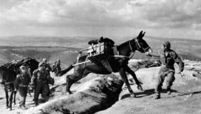Τα ιπποειδή του ’40 — Οι σιωπηλοί ήρωες της Πίνδου