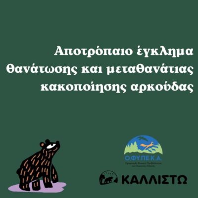 Αποτρόπαιο έγκλημα θανάτωσης και μεταθανάτιας κακοποίησης αρκούδας στη Δράμα