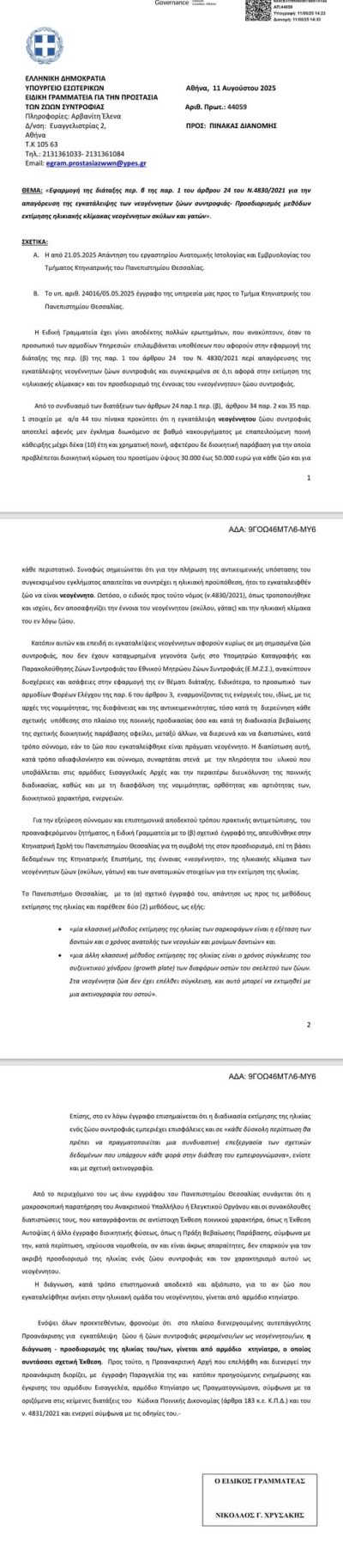 Το ΜΕΚ Πατρών καταδίκασε σε 6 έτη κάθειρξη γυναίκα που το 2022 εγκατέλειψε πέντε νεογέννητα κουτάβια σε πάρκο