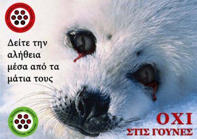 Η Πανελλαδική Φιλοζωική και Περιβαλλοντική Ομοσπονδία θα παρευρεθεί την 19/2/26 στη βραδιά ομιλιών και προβολής με θέμαΗ ΕΚΤΡΟΦΗ ΖΩΩΝ ΓΙΑ ΓΟΥΝΑ ΚΑΙ Η ΗΘΙΚΗ ΜΟΔΑ ΣΤΗΝ ΕΥΡΩΠΗ: ΠΡΟΟΠΤΙΚΕΣ