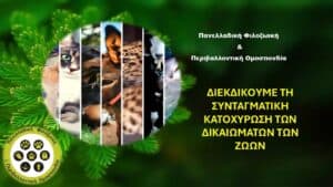 Read more about the article Η Πανελλαδική Φιλοζωική και Περιβαλλοντική Ομοσπονδία υποστηρίζει τη Συνταγματική κατοχύρωση της προστασίας και των δικαιωμάτων των ζώων
