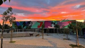 Read more about the article Κατεδαφισεις στο καταφυγιο του Δημου Αθηναιων