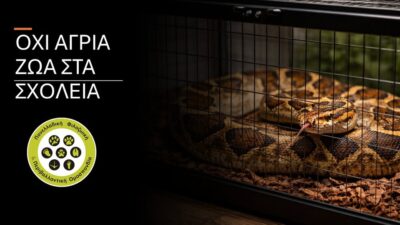 ΟΧΙ ΖΩΝΤΑ ΑΓΡΙΑ ΖΩΑ ΣΤΑ ΣΧΟΛΕΙΑ. ΤΟ ΥΠΑΙΘΑ ΑΣ ΠΑΡΕΙ ΘΕΣΗ