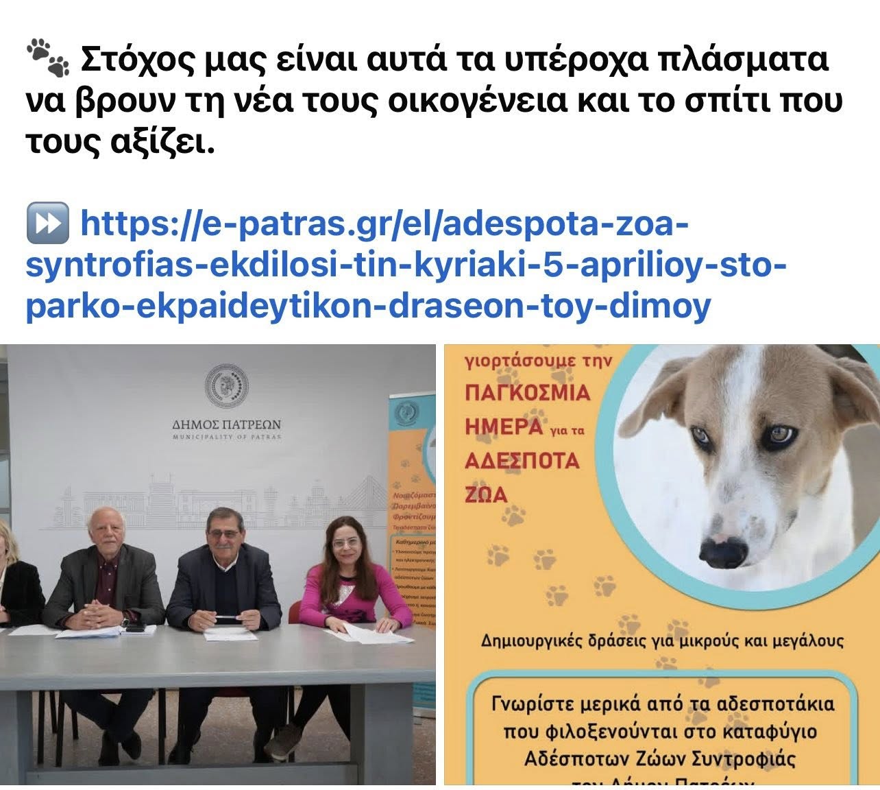 You are currently viewing ΔΗΜΟΣ ΠΑΤΡΕΩΝ: Ένας Δήμος που παράγει έργο και σέβεται τους εθελοντές