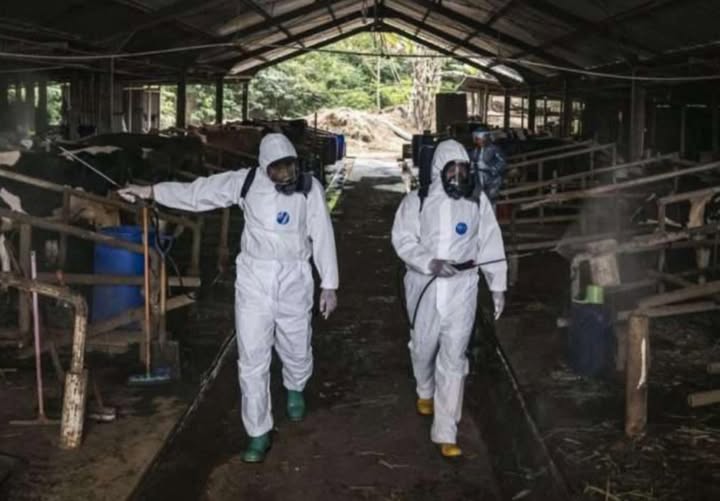 You are currently viewing Η ΛΕΣΒΟΣ ΣΕ ΚΡΙΣΗ