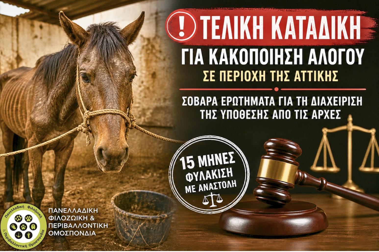 You are currently viewing Τελική καταδίκη για κακοποίηση αλόγου σε περιοχή της Αττικής