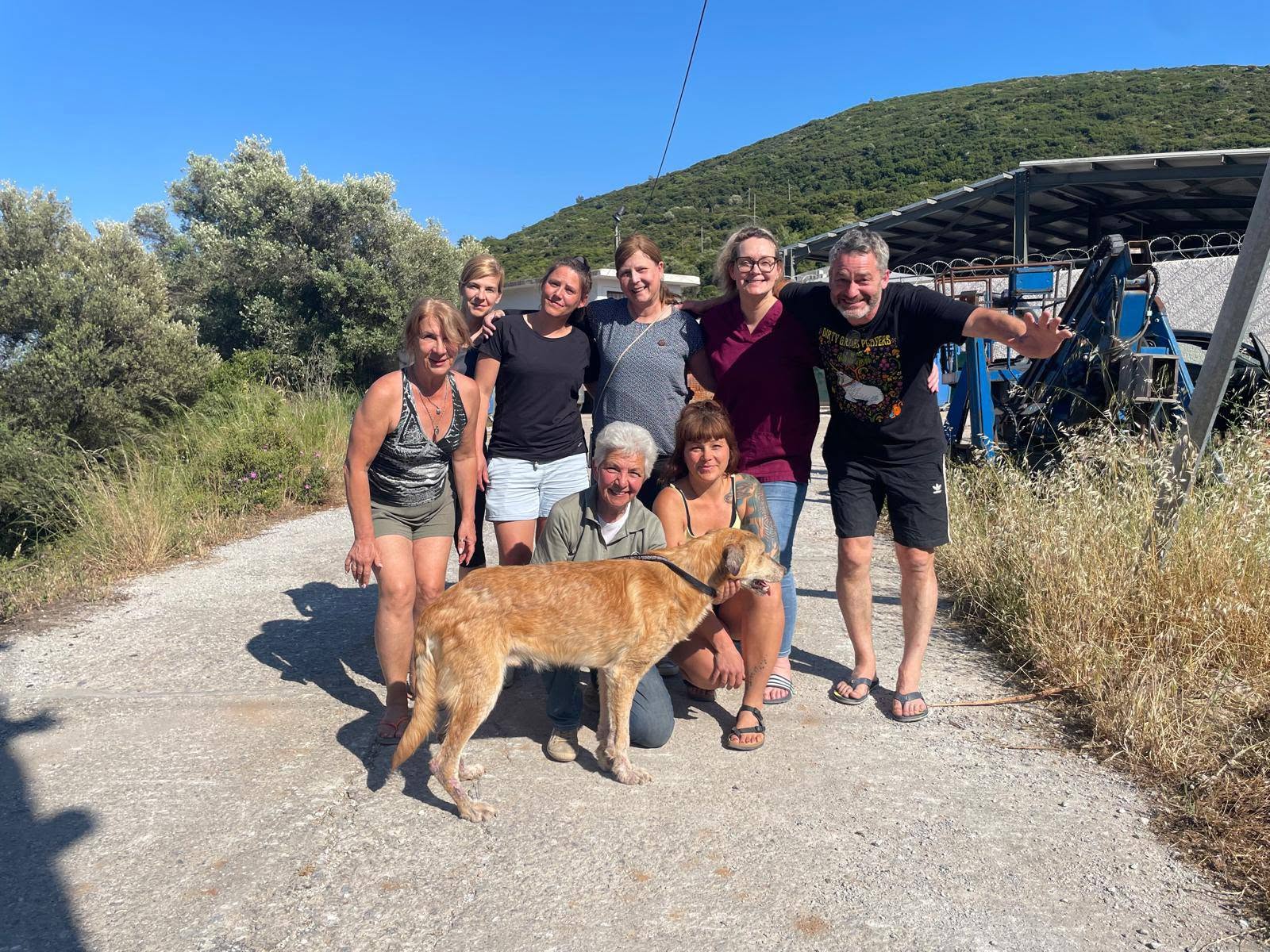 You are currently viewing Ακόμη μια φορά πραγματοποιήθηκε πρόγραμμα μαζικών στειρώσεων για σκυλάκια στη Σάμο !