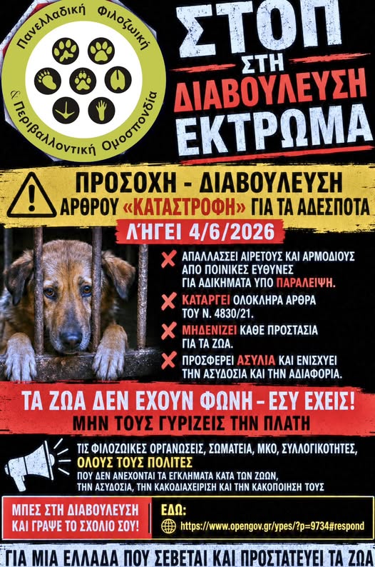 You are currently viewing ΠΡΟΣΟΧΗ – ΔΙΑΒΟΥΛΕΥΣΗ ΑΡΘΡΟΥ «ΚΑΤΑΣΤΡΟΦΗ» ΓΙΑ ΤΑ ΑΔΕΣΠΟΤΑ ΛΉΓΕΙ 4/6/2026 ΑΛΛΑ ΣΤΕΛΝΟΥΜΕ ΕΝΣΤΑΣΕΙΣ ΣΤΟ ΥΠΟΥΡΓΕΙΟ ΜΕΣΩ EMAIL!