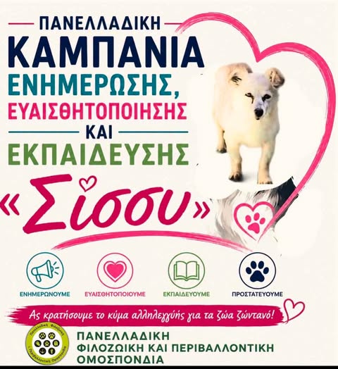 You are currently viewing Για να μην υπάρξει άλλη Σίσσυ!!