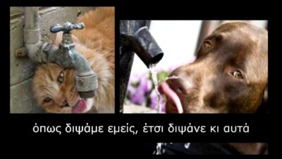 Όπως ΔΙΨΑΜΕ ΕΜΕΙΣ έτσι  ΔΙΨΟΥΝ ΚΙ ΑΥΤΑ !