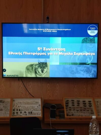 Την Τρίτη 7 Ιουλίου 2026, πραγματοποιήθηκε η εξ αποστάσεως και διά ζώσης, η 5η Συνάντηση της Εθνικής Πλατφόρμας για τα Μεγάλα Σαρκοφάγα