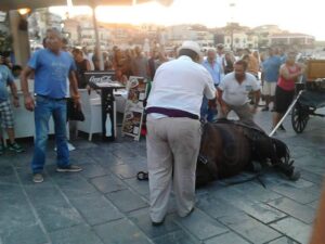 Read more about the article Η ΠΦΠΟ ζητά άμεσους ελέγχους για την προστασία των αλόγων στις ιππήλατες άμαξες του Ενετικού Λιμανιού Χανίων