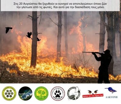 Μετά τις φωτιές… τι;;;;