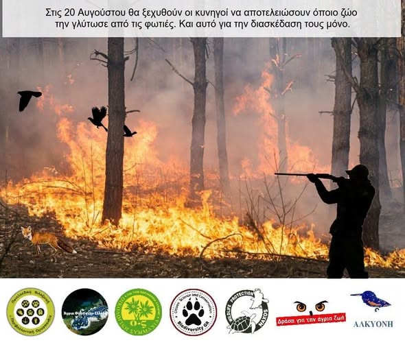 You are currently viewing Μετά τις φωτιές… τι;;;;