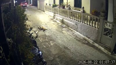 Αίτημα ενημέρωσης για το περιστατικό θανάτωσης σκύλου στους Αυλιώτες Κέρκυρας