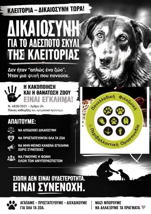 You are currently viewing Η ΠΦΠΟ αναλαμβάνει την υποστήριξη της κατηγορίας για τη δολοφονία αδέσποτου σκύλου στην Κλειτορία