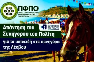 Read more about the article Απάντηση του Συνήγορου του Πολίτη στην Πανελλαδική Φιλοζωική και Περιβαλλοντική Ομοσπονδία που ζητά ουσιαστικούς ελέγχους για την προστασία των ιπποειδών στα πανηγύρια