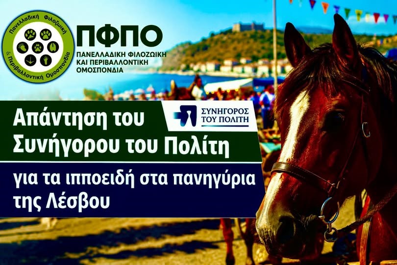 You are currently viewing Απάντηση του Συνήγορου του Πολίτη στην Πανελλαδική Φιλοζωική και Περιβαλλοντική Ομοσπονδία που ζητά ουσιαστικούς ελέγχους για την προστασία των ιπποειδών στα πανηγύρια