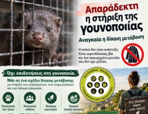 Read more about the article Απαράδεκτη η στήριξη της γουνοποιίας – Αναγκαία η δίκαιη μετάβαση